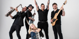 Cuda Wianki - Turboprofeska | Zespół muzyczny Poznań, wielkopolskie - zdjęcie 5