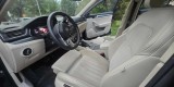 Skoda Superb z kierowcą | Auto do ślubu Chorzów, śląskie - zdjęcie 4