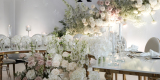 Wedding Arms Wedding Planner | Wedding planner Wrocław, dolnośląskie - zdjęcie 2
