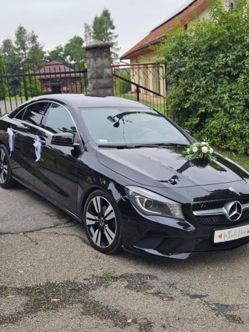 TransDave samochody klasy premium | Auto do ślubu Wysoka, małopolskie