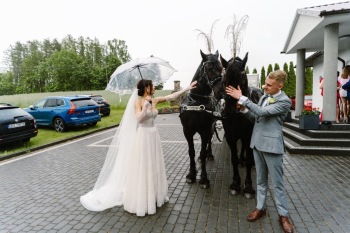 Bryczka Wioleta Bojk | Bryczka do ślubu Wejherowo, pomorskie