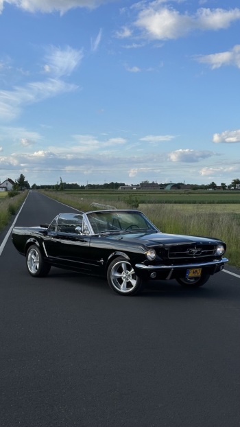 Mustang z 1965r / Cadillac z 1958r | Auto do ślubu Nowy Tomyśl, wielkopolskie