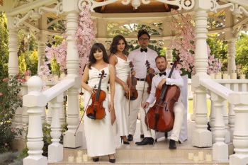 Music Dream | Oprawa muzyczna ślubu Kraków, małopolskie