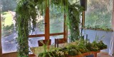 Deko-Finezja Magdalena Hutryk | Dekoracje ślubne Rzeszotary, małopolskie - zdjęcie 4