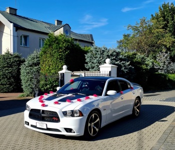 Dodge Charger Daytona | Auto do ślubu Łomża, podlaskie