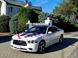 Dodge Charger Daytona | Auto do ślubu Łomża, podlaskie