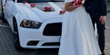 Dodge Charger Daytona | Auto do ślubu Łomża, podlaskie - zdjęcie 3
