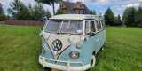 VW T1 Bulik, Ogórek, SAMBA Klasyki | Auto do ślubu Warszawa, mazowieckie - zdjęcie 2