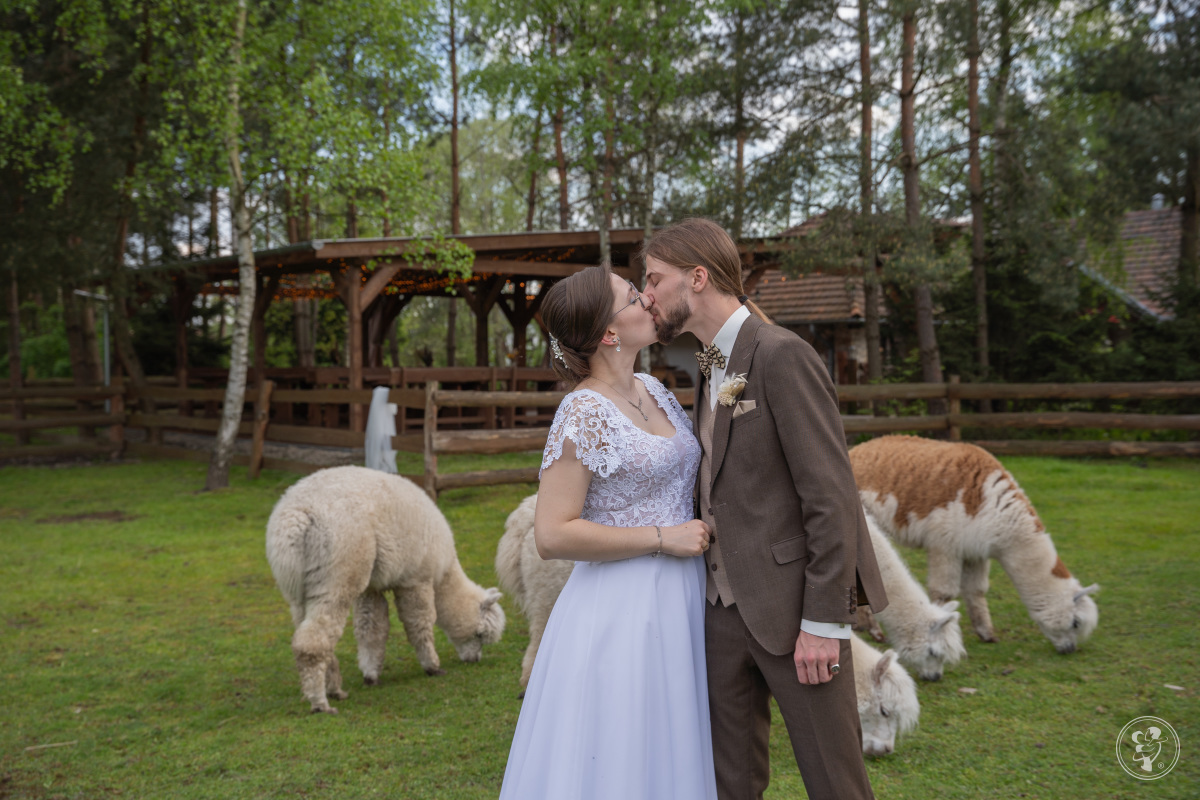 Magdalena Nasim - Fotografia | Fotograf ślubny Kraków, małopolskie - zdjęcie 1