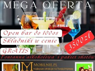 MOBILNIE Mariusz Mróz | Barman na wesele Kraków, małopolskie