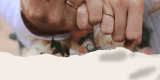 Nakręcone Wedding Content Creator | Kamerzysta na wesele Oświęcim, małopolskie - zdjęcie 3