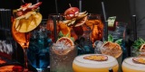 Ryś Events&Fun | Barman na wesele Warszawa, mazowieckie - zdjęcie 2