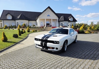 Dodge Challenger | Auto do ślubu Siewierz, śląskie
