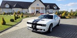 Dodge Challenger | Auto do ślubu Siewierz, śląskie - zdjęcie 6