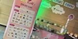 Thai Rolls - Lody tajskie | Unikatowe atrakcje Nowy Wiśnicz, małopolskie - zdjęcie 3