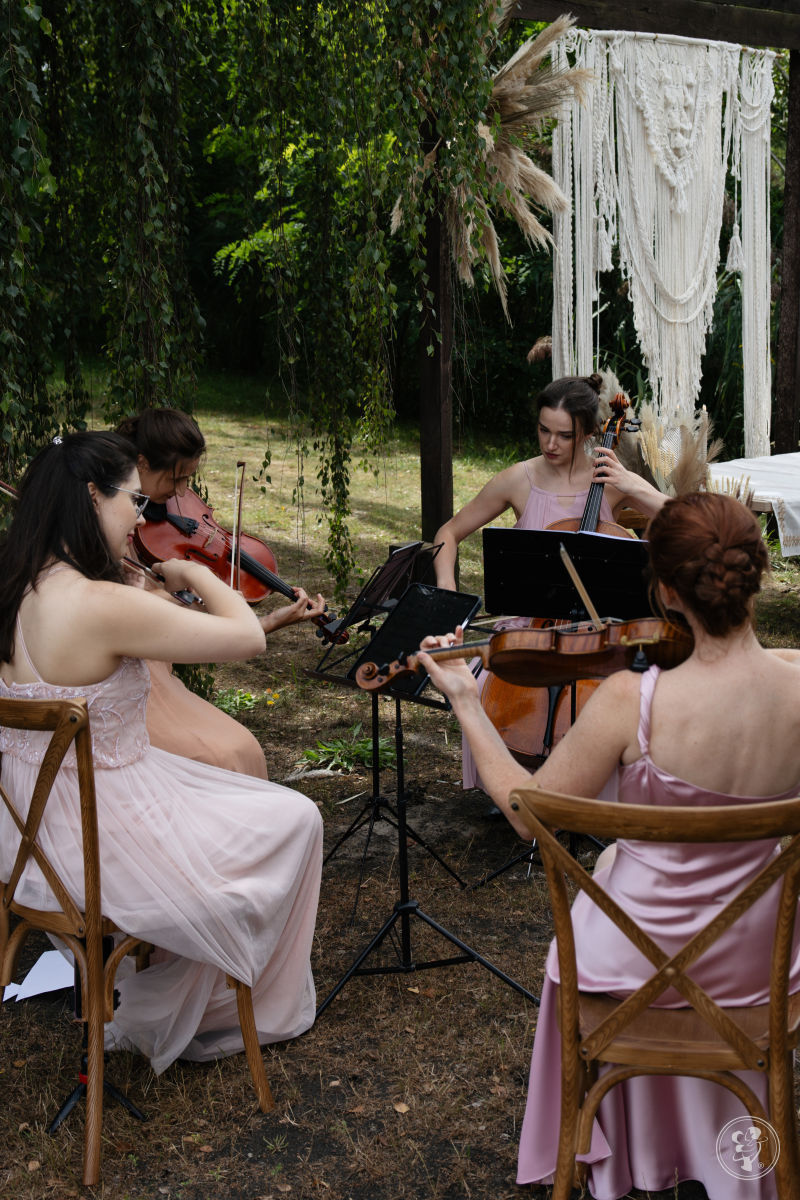 Violin Sound-Skrzypce Marii | Oprawa muzyczna ślubu Warszawa, mazowieckie - zdjęcie 1