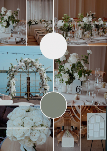 Zielone Pojęcie AleksandraCzarnacka | Dekoracje ślubne Bytom, śląskie