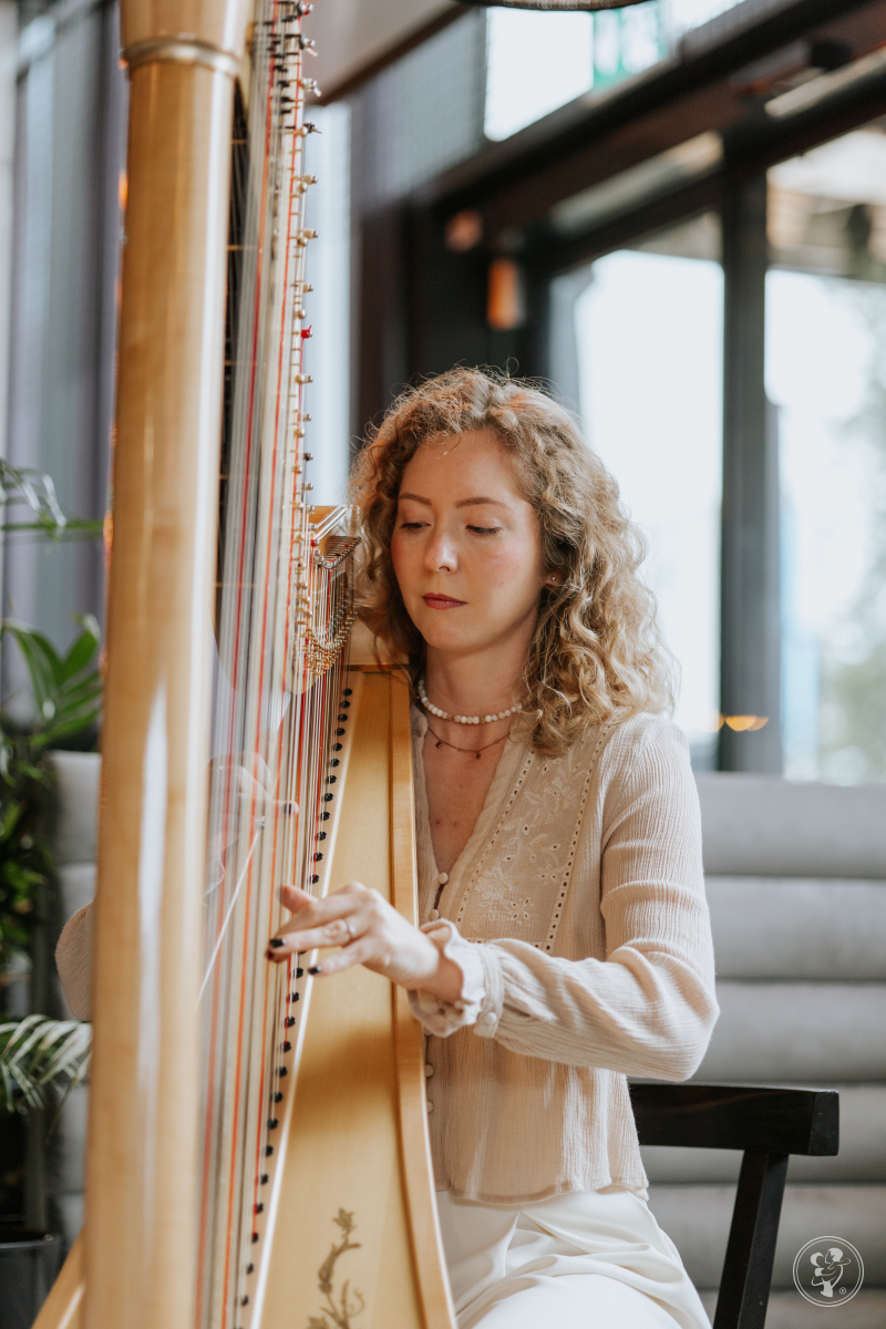 Harfa w momentach | Oprawa muzyczna ślubu Katowice, śląskie - zdjęcie 1