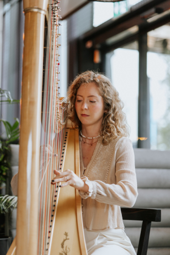Harfa w momentach | Oprawa muzyczna ślubu Katowice, śląskie