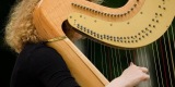 Harfa w momentach | Oprawa muzyczna ślubu Katowice, śląskie - zdjęcie 3