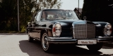 Zabytkowe Mercedesy W136 i W108 | Auto do ślubu Gdańsk, pomorskie - zdjęcie 2