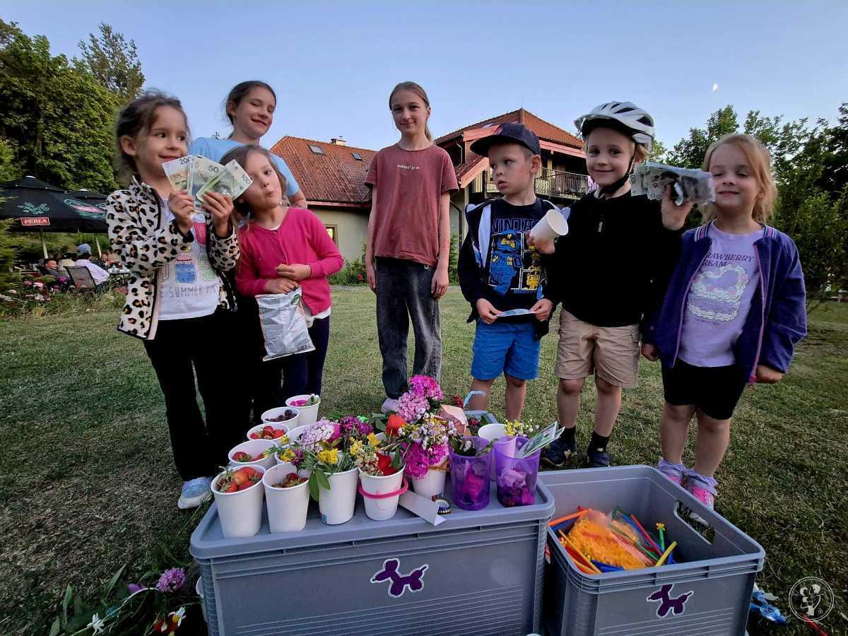 Halo, tu zabawa! Animacje | Animator dla dzieci Myślenice, małopolskie - zdjęcie 1