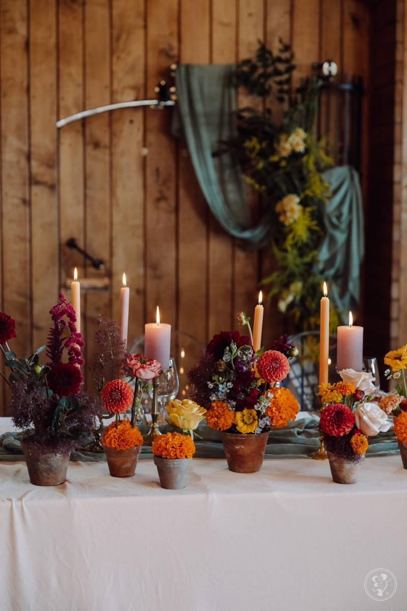 Pstro!kwiaty | Dekoracje ślubne Wrocław, dolnośląskie - zdjęcie 1