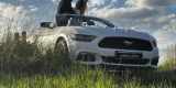 Ford Mustang biały kabriolet | Auto do ślubu Kraków, małopolskie - zdjęcie 5
