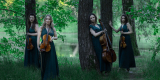 Lunare Quartet | Oprawa muzyczna ślubu Łódź, łódzkie - zdjęcie 4
