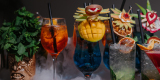 Ryś Events&Fun | Barman na wesele Warszawa, mazowieckie - zdjęcie 4