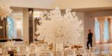 PĄKI BZU WEDDING EVENT DESIGNER | Dekoracje ślubne Olkusz, małopolskie - zdjęcie 2