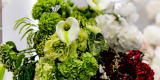 Decoflower - Laboratorium dekoracji | Dekoracje ślubne Lublin, lubelskie - zdjęcie 6