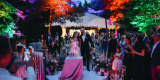 Wedding Planner - Weselmy się razem | Wedding planner Gdańsk, pomorskie - zdjęcie 2