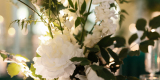 Sztuka Wydarzeń Marta Radzikowska | Wedding planner Poznań, wielkopolskie - zdjęcie 4