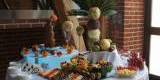 Fontanna czekoladowa, bufety owocowe, carving!, Kościelec - zdjęcie 4