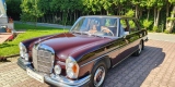 Mercedes280SE WarszawaM20 Fiat 125p | Auto do ślubu Krosno, podkarpackie - zdjęcie 6