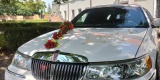 Biały Lincoln Town Car | Auto do ślubu Rypin, kujawsko-pomorskie - zdjęcie 3