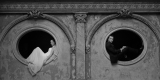 Fotografia - Papierkowski | Fotograf ślubny Wrocław, dolnośląskie - zdjęcie 5