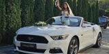 Mustang, Mercedes, Cabrio GT | Auto do ślubu Nysa, opolskie - zdjęcie 3