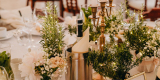 Hotel Villa Eva | Sala weselna Gdańsk, pomorskie - zdjęcie 4