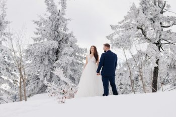 Treephoto - Konrad Żurawski | Fotograf ślubny Jelenia Góra, dolnośląskie