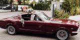 Ford Mustang Fastback GT 1966 V8 | Auto do ślubu Wrocław, dolnośląskie - zdjęcie 2