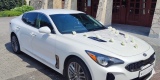 KIA Stinger | Auto do ślubu Opole, opolskie - zdjęcie 2