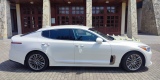KIA Stinger | Auto do ślubu Opole, opolskie - zdjęcie 6