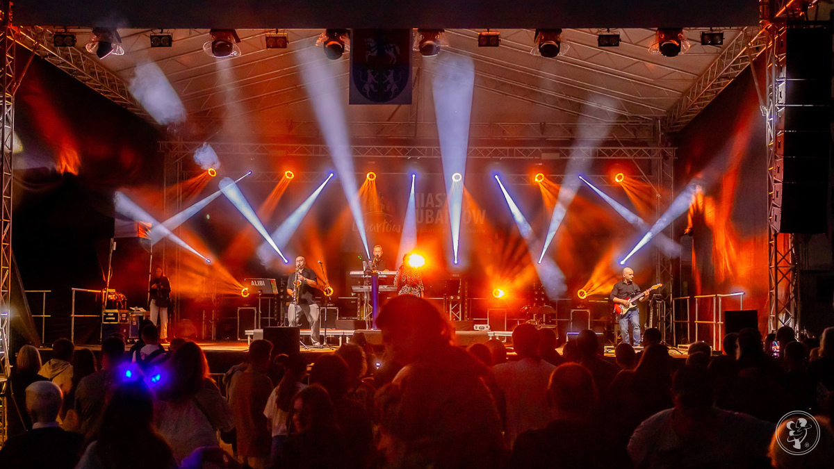 Zespół Alibi | Zespół muzyczny Lubartów, lubelskie - zdjęcie 1