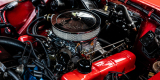 Buick Skylark 3.5 V8 z 1962 roku | Auto do ślubu Chorzelów, podkarpackie - zdjęcie 6