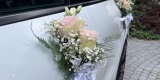 Białe Porsche Cayenne | Auto do ślubu Żywiec, śląskie - zdjęcie 6