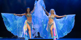Wahatan Bellydance Show | Pokaz tańca na weselu Warszawa, mazowieckie - zdjęcie 2
