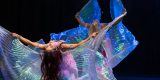 Wahatan Bellydance Show | Pokaz tańca na weselu Warszawa, mazowieckie - zdjęcie 3