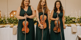 Metanoia String Quartet | Oprawa muzyczna ślubu Kraków, małopolskie - zdjęcie 5